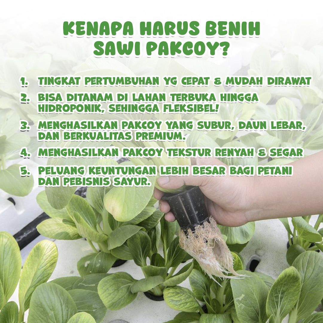 Artboard 1